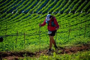 BIB: 
                            <button type="button" onclick="openModal(19161257)" class="btn btn-primary btn-sm float-right btn-popup" data-toggle="modal" data-target=".modal-high-quality">
                        <i class="fas fa-shopping-cart"></i> Add to Cart
                    </button>
                                            <button type="button" onclick="isThisMe(19161257, true)" class="btn btn-success btn-sm float-right btn-popup btn-isme hidden" data-toggle="tooltip" data-placement="bottom" title="นี่คือรูปของคุณใช่ไหม คลิกที่นี่เพื่อเอาเข้าอัลบั้ม">
                        <i class="fas fa-plus"></i> Add to album
                    </button>
                    <button type="button" onclick="isThisMe(19161257, false)" class="btn btn-warning btn-sm float-right btn-popup btn-isnotme hidden">
                        <i class="fas fa-ban"></i> Remove from album
                    </button>